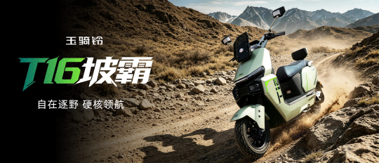 坡霸 · T16 |  自在逐野，硬核领航